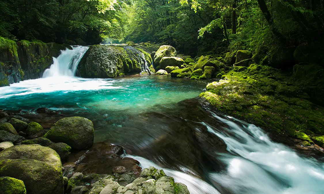 🏞️ 기쿠치 계곡 (키쿠치 케이코쿠) 이미지 4